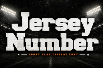 Jersey Number Display Font Download for Sports Designs